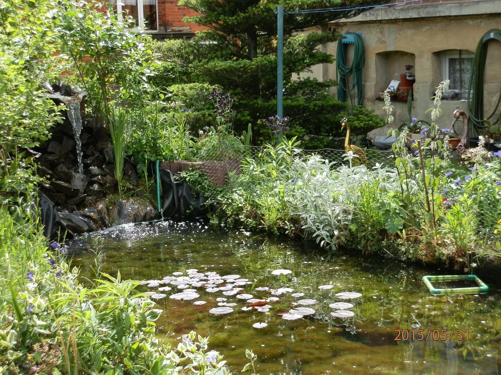 Ferienwohnung Fedler Бланкенбург Номер фото
